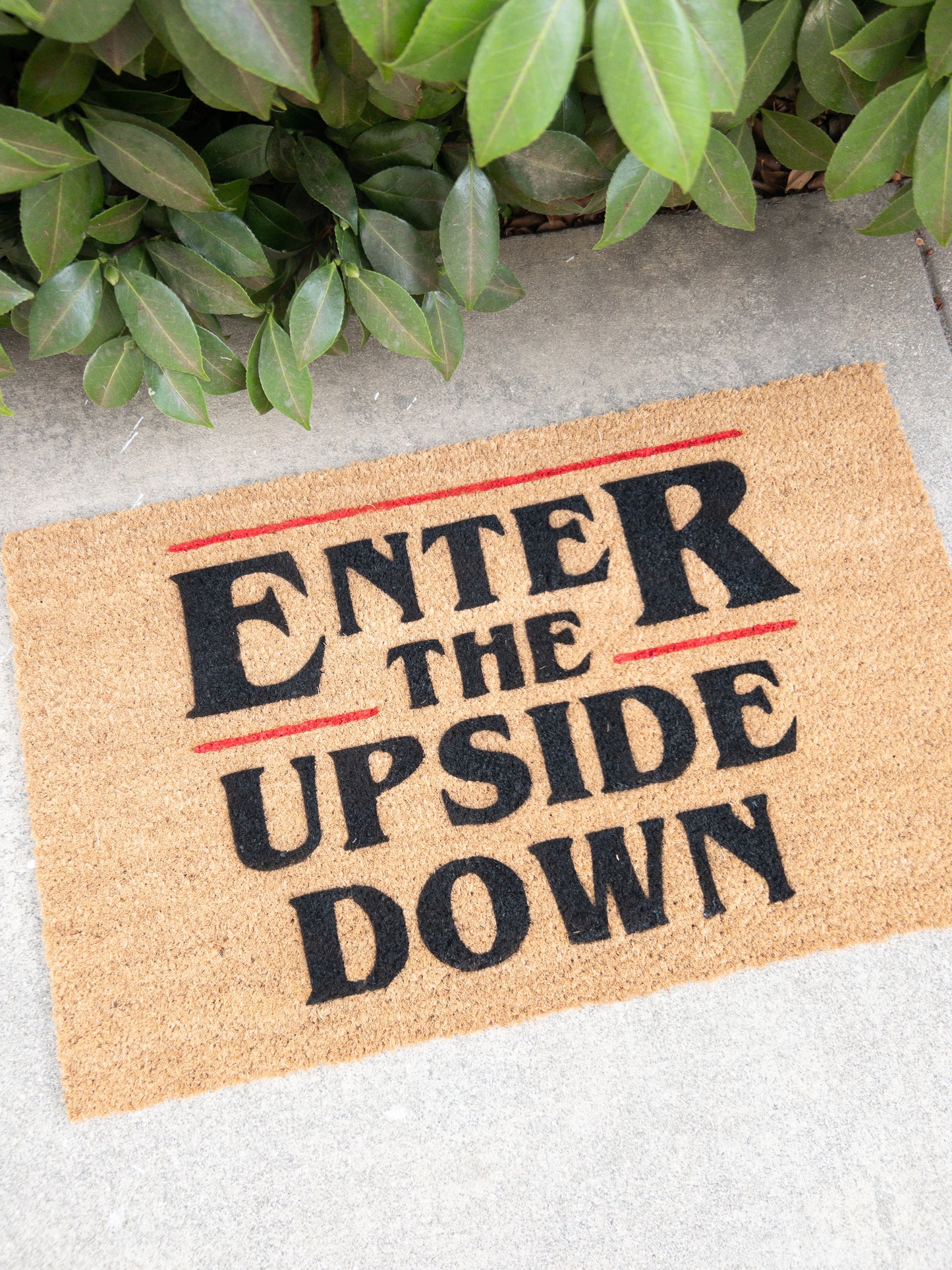 Enter the Upside Down