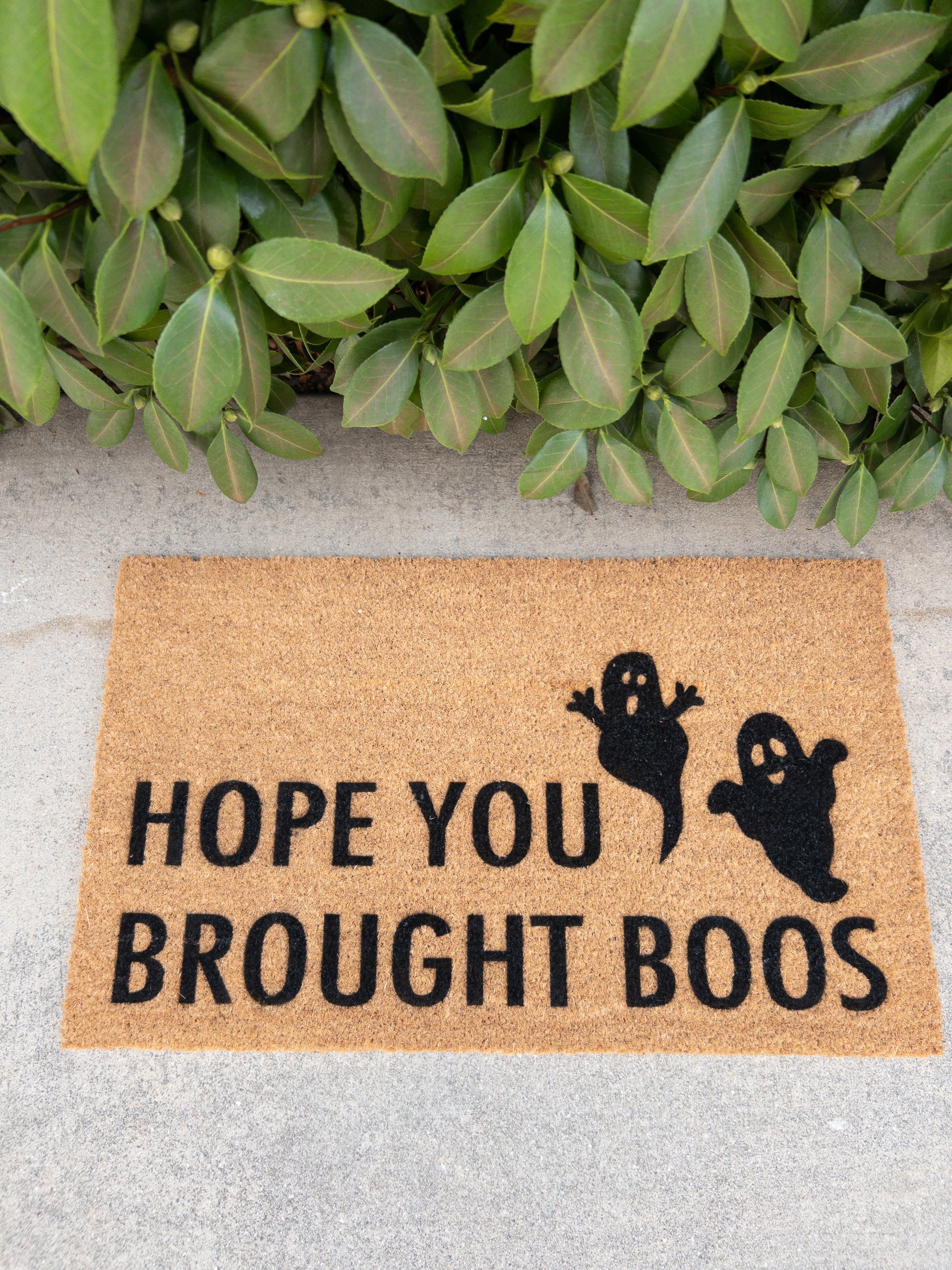 Hope you brought boos doormat